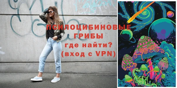 ешки Алексин