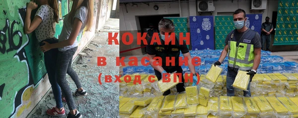 ешки Алексин