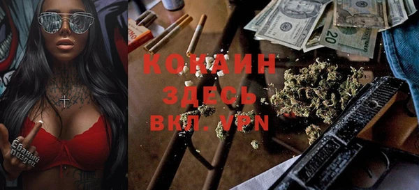 ешки Алексин