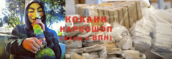ешки Алексин