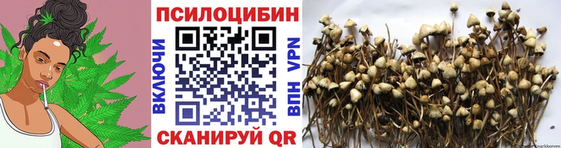 Псилоцибиновые грибы мицелий  Зарайск 
